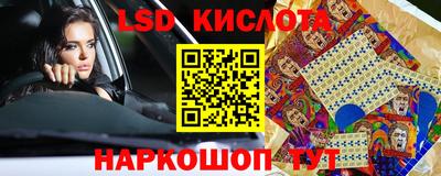 крисы Краснодар