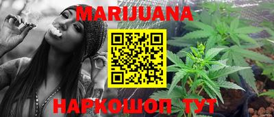 крисы Краснодар
