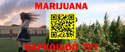 крисы Краснодар
