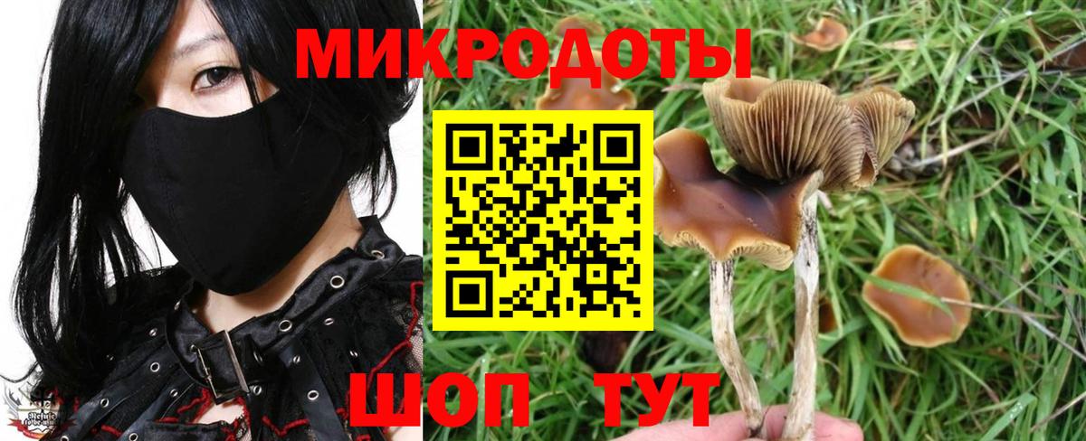 Псилоцибиновые грибы MAGIC MUSHROOMS Донецк