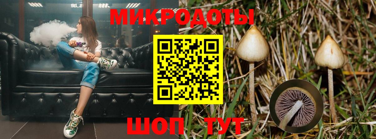 Донецк  Галлюциногенные грибы мухоморы  Вход с VPN  Галлюциногенные грибы Cubensis 